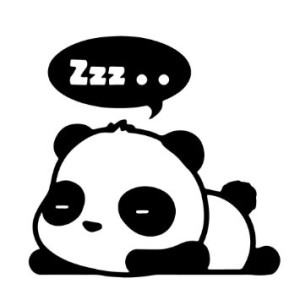 sleeping panda tehvidya